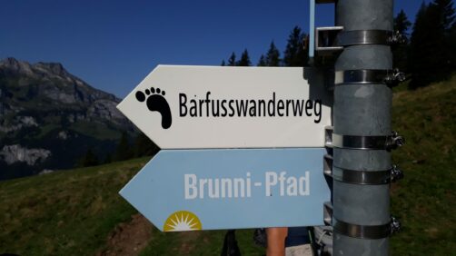 2019 Bergturnfahrt des STV Möriken-Wildegg auf den Stoos